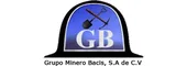 Grupo Minero Bacis